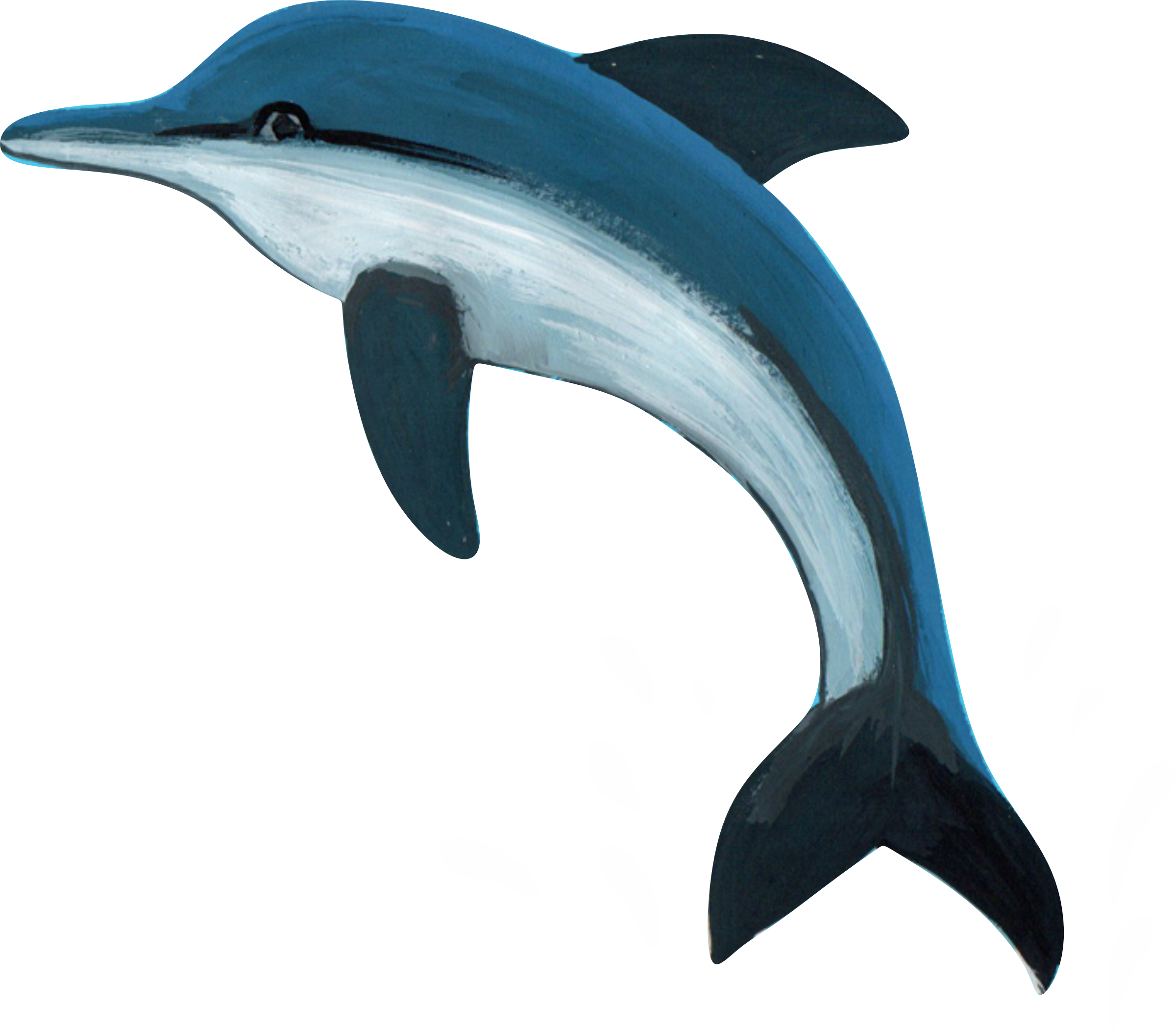 Dolphin
