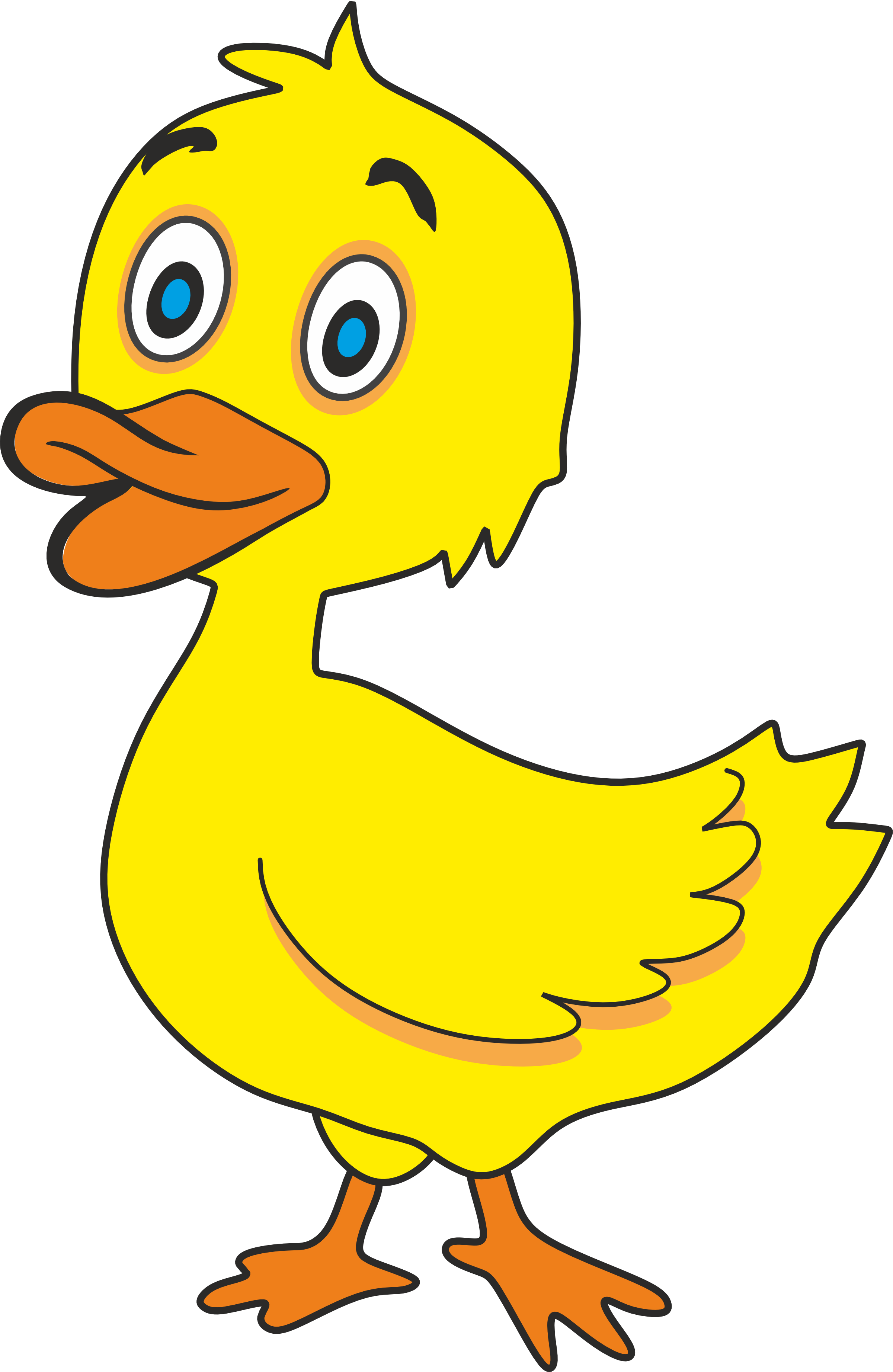 Duck